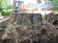 Backhoe in front of a excavated stump